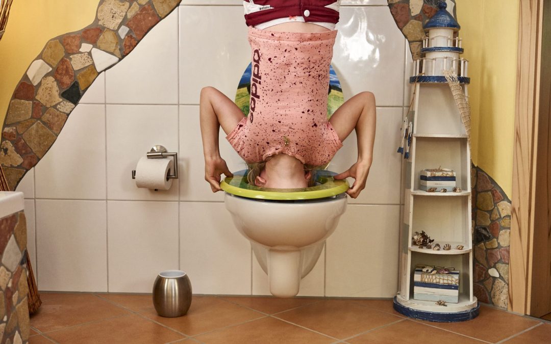 Waldwipfelweg Sankt Englmar